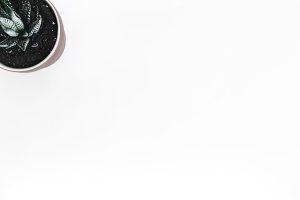 Photo by Scott Webb on Pexels