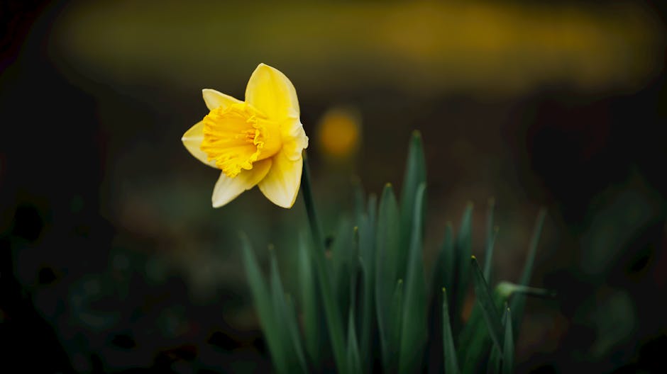 Photo by Serhii Barkanov on Pexels