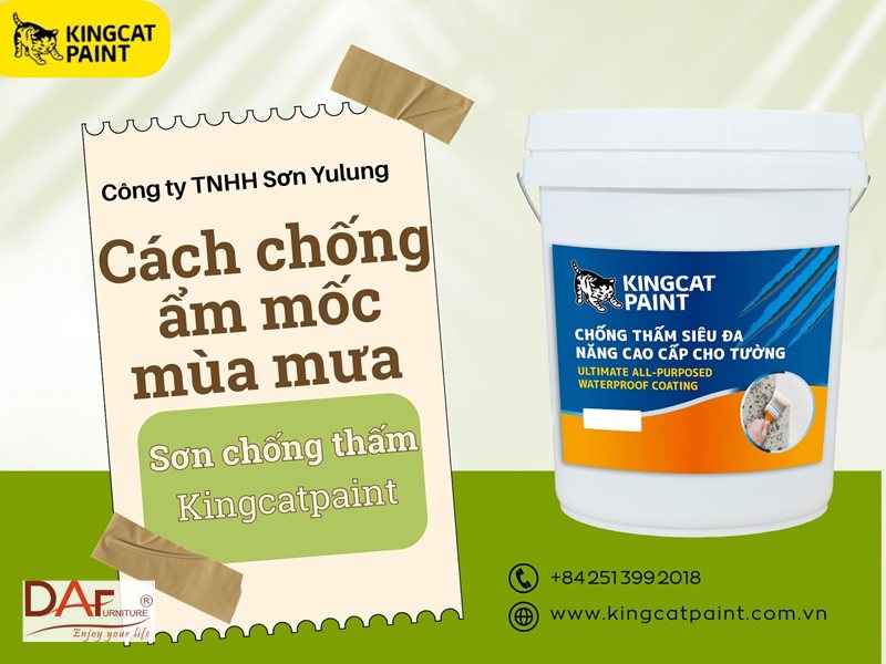 Chống ẩm mốc nội thất mùa mưa - Độ ẩm cao kéo dài mới là thủ phạm Chống ẩm mốc nội thất mùa mưa - Độ ẩm cao kéo dài mới là thủ phạm