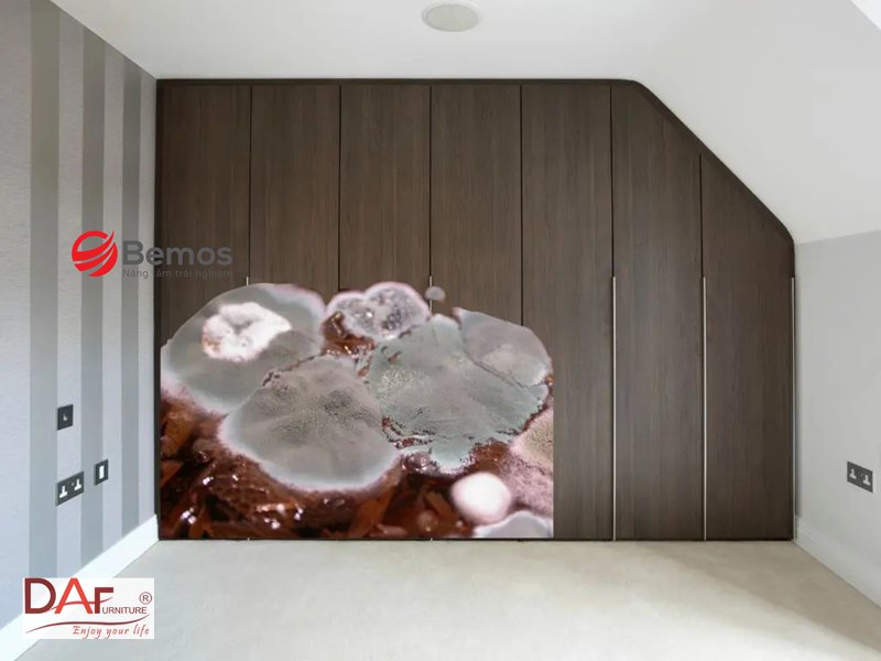 Chống ẩm mốc nội thất mùa mưa - Phòng trước: những việc làm được ngay đầu mùa mưa Chống ẩm mốc nội thất mùa mưa - Phòng trước: những việc làm được ngay đầu mùa mưa
