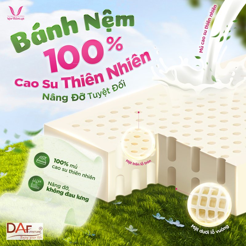 Nệm cao su non và cao su thiên nhiên - Bảng so sánh nệm cao su non và cao su thiên nhiên